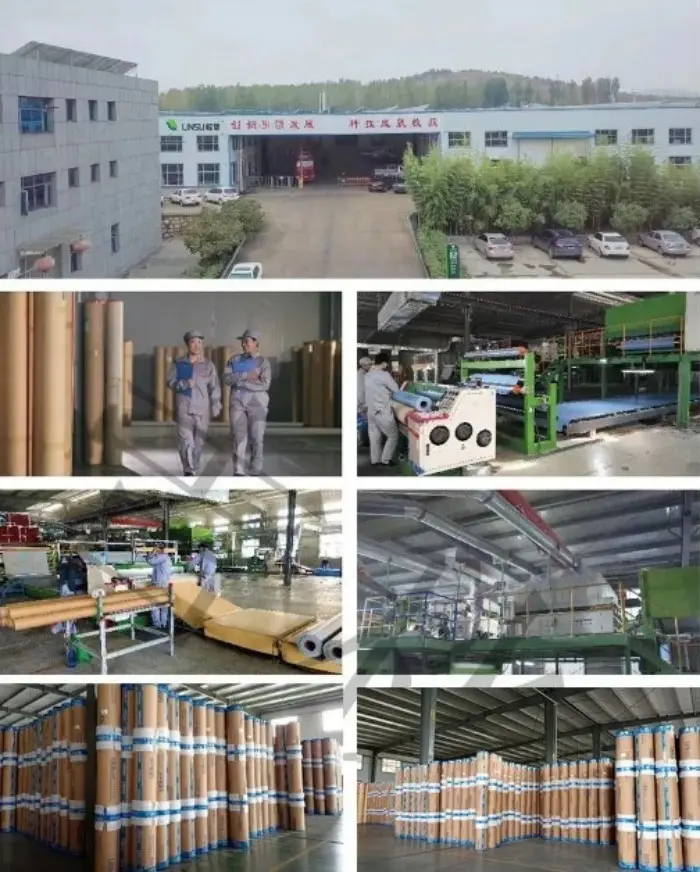 Project Case Anping County People's Hospital (7).jpg